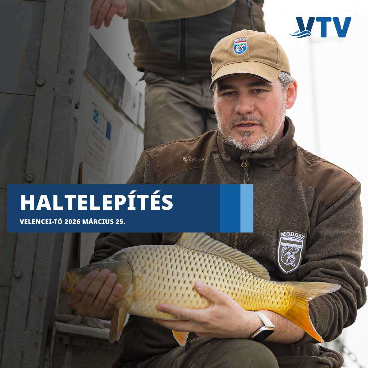Lezajlott a tavaszi haltelepítés a Velencei-tavon!